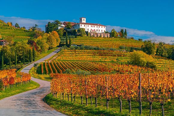 New Images > The lands of wine in Friuli Venezia Giulia The Rosazzo vineyards in Olimpio Fantuz's photos