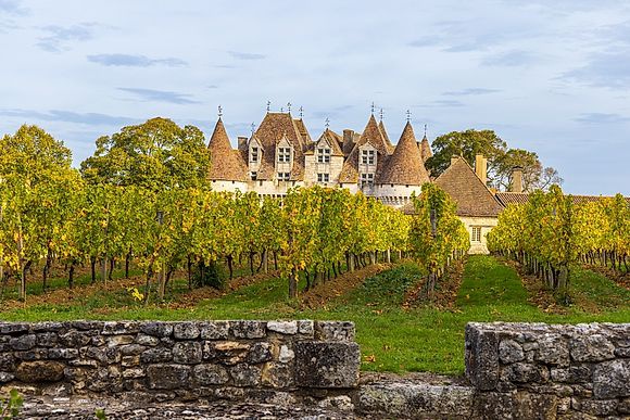 New Images > Vineyards of Nouvelle-Aquitaine The French countryside in the latest photos by Marco Arduino