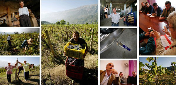 Solomango Travel Feature: Albania D.O.C. by Roberto Giussani International co-operation creates a small miracle as Italian winemaking expertise brings life back to the old vineyards of Albania