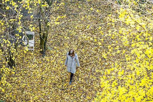 Gallery > Rustle of leaves in the woods