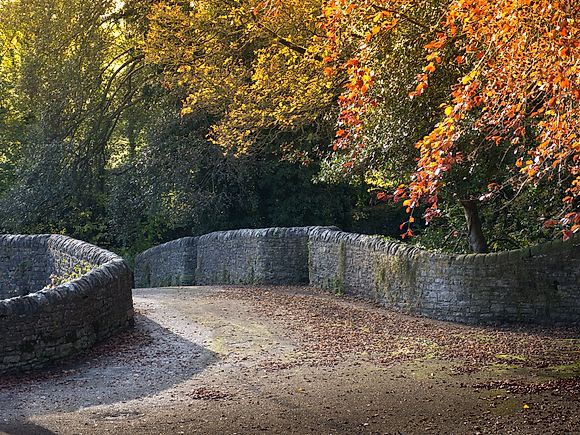 New Images >Autumn in Great Britain The magic of colors in autumn Great Britain