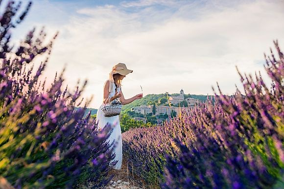 New Images > The perfume of lavender Provence in the latest images of Maurizio Rellini