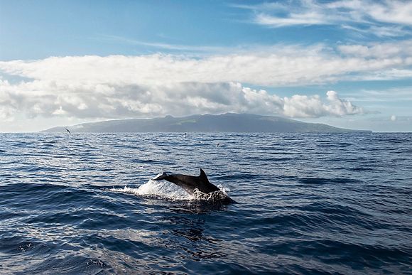 New Images> Azores A paradise in the middle of the Atlantic Ocean