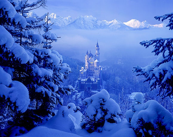 New Images > Neuschwanstein Castle A winter dream in the Bavarian Alps