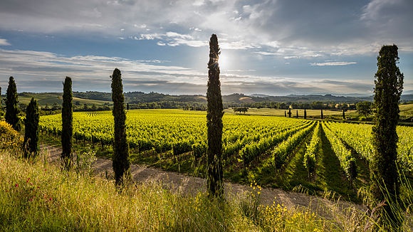 Gallery > Tuscany landscapes